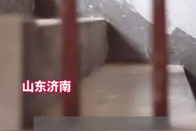 最期待的年夜饭！申军良寻子15年家人终团聚，年夜饭虽简单却无价视频封面