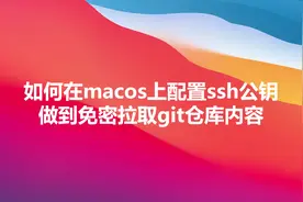 git配置sshkey免密拉取代码#程序代码 #git #macos