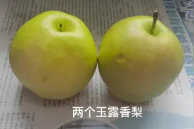 如何分辨梨的公母呢，一起来看看吧。这是一条科普视频加带货视频视频封面