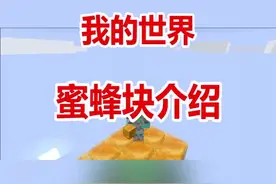 我的世界蜜蜂块你们学会了吗？？