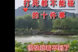 打死都不要碰的十件事情 #一定要看到最后 #喜欢的点个赞