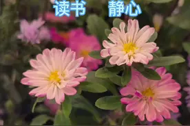 用书塑身，受用一生；以书会友，天长地久#励志 #传递正能量视频封面