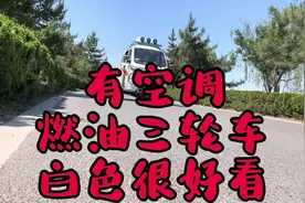 新阳光250带空调的燃油三轮车，山区爬坡不费劲，冷风嗖嗖吹视频封面