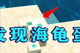 我的世界197：找到海龟蛋了！用精准采集挖回家，希望孵化成功！-2