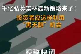 千亿私募景林最新策略来了！投资者应这样利用“黑天鹅”机会#私募#黑天鹅#投资视频封面