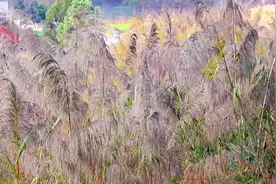 男女之间，出现这些“小动作”，说明关系不再纯洁.#我眼里的视界视频封面