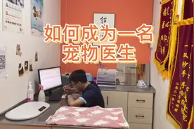 今天给大家讲讲，如何成为一名宠物医生，做完这些