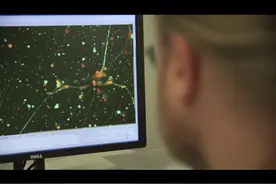 德国大学专业-医学信息学，是信息科学视频封面