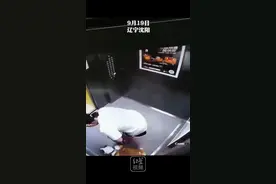 宠物犬在电梯轿厢里撒尿，女主人赶忙给家人打电话让送来拖布和消毒液，打扫干净后才离开。