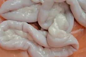 粉肠头分为：十二直肠粉肠头与木肠粉肠头。区别就是：粉肠头