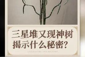 个头虽小，意义不一般！快来跟着大鱼老师看看三星堆最新修复展出的3号小神树吧！#大鱼讲三星堆   #爱上博物馆 #萌知计划科普知识#三星堆遗址#三星堆考古新发现 #三星堆又上新了 #萌知计划科普知识 #三星堆 @DOU+小助手  视频封面