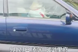 两只被留在车内的狗狗轮流按喇叭：主人你是不是忘带狗了…视频封面