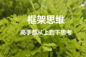 高手拥有上帝视角看问题的能力,具备框架思维从上到下思考视频封面