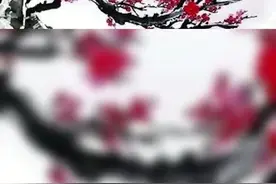白玉堂前一树梅，为谁零落为谁开——《梅花》王安石#经典#诗词#梅花#朗诵#萌知计划@抖音青少年 视频封面