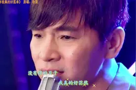 一个人的孤单#伤感情歌 #冷漠#重感情的人都喜欢伤感的歌视频封面