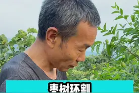 枣树环割时间和方法#冬枣树 #枣树管理 #果树 #果树管理 #三农 #农业种植视频封面