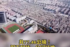 最新规划公示来了！这次涉及七里片区，共77.46公顷！ 北至京沪铁路、西至望岳东路、南至泰山大街、东至迎胜路！视频封面
