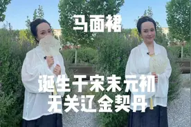 汉服马面裙：诞生于宋末元初，无关辽金契丹#汉服 #马面裙 #科普