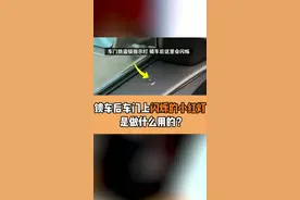 #大众车高级 车门上闪烁的小红灯是干嘛用的视频封面