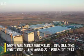 山东省规模最大挂面、面粉加工厂商河金沙河将于明年3月投产视频封面
