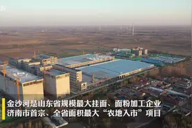 山东省规模最大挂面、面粉加工厂商河金沙河将于明年3月投产视频封面