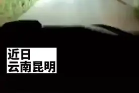 男子开车遇野兔“引路” 避免了一场车祸#喀什美好推荐官 @喀什观察 @抖音短视频 视频封面