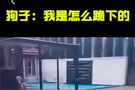 说来你可能不信，我第一次见狗子下跪。#搞笑 #狗狗