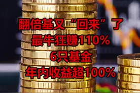 最牛狂赚110%！翻倍基又“回来”了#国投瑞银 #前海开源 #基金 #基金经理 #基民 #投资 视频封面