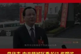 枣庄市第十二次党代会党代表声音——中共峄城区委书记 张熙滨：要让43万峄城人民更好地分享发展成果，有更多的幸福感和获得感#最新消息 #民生 #最新发布 #新闻 #枣庄 #峄城 #会议现场 视频封面
