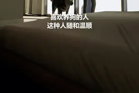  教你如何通过喜欢的宠物看穿一个人 #轻知识计划 #这个视频有点长@抖音小助手 视频封面