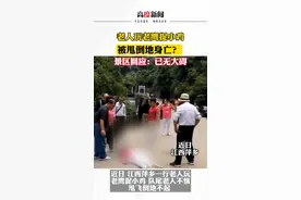 老人玩老鹰捉小鸡被甩倒地身亡？ 景区回应：已无大碍。 #你怎么看 视频封面