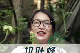 叶子被切成半圆月状，那是切叶蜂来了#切叶蜂 #轻知识计划 @抖音短视频