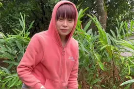 农村有一种草叫冷饭粒