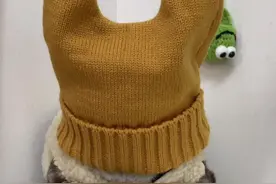 袜子套头可以测猫咪智商，这种情况说明什么……#抖音萌宠嘉年华