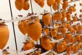 自己在家挂柿饼不发霉不变黑想学的跟我来做视频封面