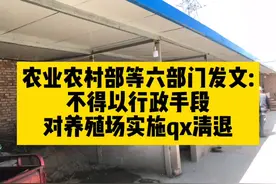 养殖户注意！农业农村部等六部门发文视频封面