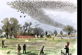 人类历史上规模最大的灭绝事件，也被称为人类最愚蠢最无聊的灭绝视频封面