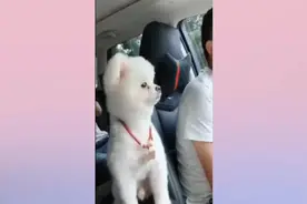 #开心快乐每一天 姥姥和婶婶打爸爸了视频封面