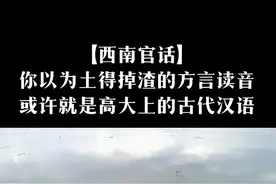 你以为土得掉渣的方言字，搞不好竟是标准古汉语发音。#款云南 #方言 #云南方言 #wo的高能瞬间 #历史视频封面