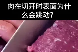 肉在切开时表面为什么会跳动？视频封面