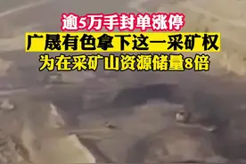 逾5万手封单涨停广晟有色拿下这一采矿权为在采矿山资源储量8倍#广晟有色 #稀土#矿山开采视频封面