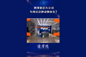 打死架来连自己都怕，没有一个动物园敢饲养！#阿里 #芯片 公司为以这个动物来命名？#平头哥视频封面