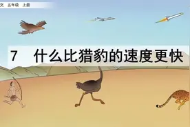 【预习指南】-语文-5上-7 什么比猎豹的速度更快