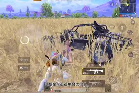 每次上游戏都要人脸识别，光子这是要赶走多少老玩家😔#和平精英视频封面