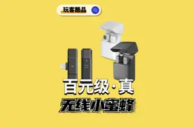 百元级无线小蜜蜂推荐，这个便携充电仓设计还是很有意思的视频封面