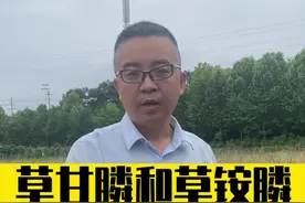 #草铵膦 和#草甘膦 有什么区别？看完你就知道了#除草剂 #来抖音学农技#乡村守护人#新农人计划2022   视频封面