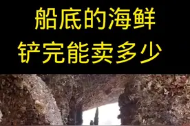 #记录我的跑船时光 #海船船员日常的生活和工作环境太艰辛