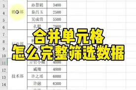合并单元格怎么完整筛选数据#Excel #Excel技巧 #Excel教学视频封面