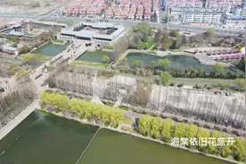 海棠盛开又是一年舂来到，海棠如约三月开。阳春三月春意盎然视频封面
