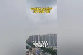 定州街头多只燕子空中盘旋，网友:燕子寓意吉祥希望定州早日解封#疫情防控 #定州房产网小助手 视频封面